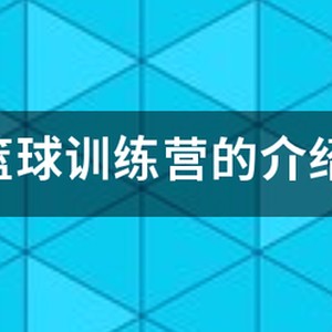 美国篮球国家队训练营有什么人?